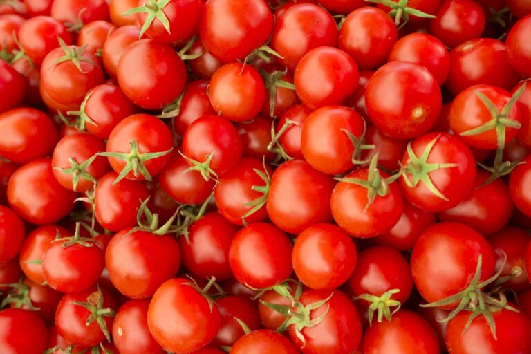 Pastina con pomodoro